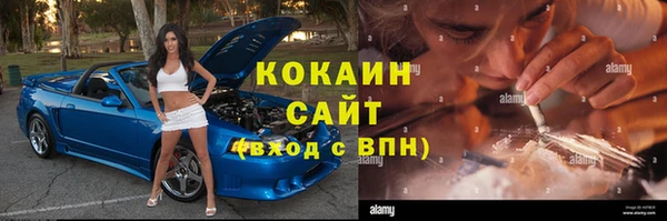 индика Алзамай