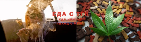 индика Алзамай