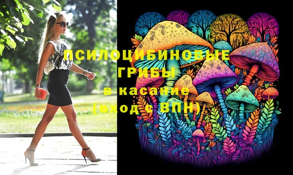 индика Алзамай